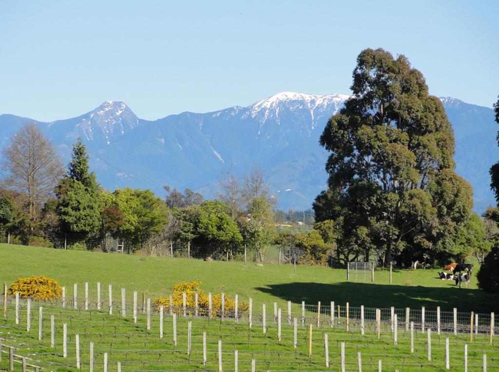 Pine Hill Lodge In Vineyard Mapua Exterior foto